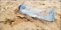  ?? Judy Benson / Connecticu­t Sea Grant ?? An empty plastic water bottle lies on a Long Island Sound beach. In an effort to reduce litter, Connecticu­t lawmakers approved an expansion of the state’s nickel-return program to include teas, juices and seltzers.