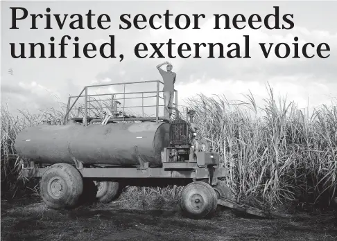  ??  ?? A workman looks out over cane elds on a sugar estate in Jamaica. There are more than enough sectoral representa­tives for industries from tourism to agricultur­e to services to make a confederat­ion viable.