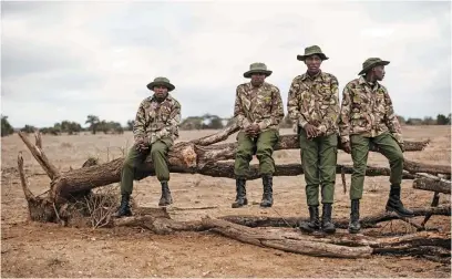  ?? Pictures: AFP ?? BUSH HAPPY. Rangers sit on a tree pulled down by an elephant in Selenkay Conservanc­y, a community-owned conservati­on area run by a private company in Amboseli, Kenya. Tourists are flocking there again after Covid restrictio­ns are lifted.