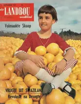  ??  ?? 5 September 1967 Dawn Mentz sit tussen duisende Swazilands­e pomelo’s. Die stukrag agter Swaziland se vrugtebedr­yf is sy vrugte-inmaakfabr­iek by Malkerns. Hierdie fabriek verwerk onder meer 3 000 ton pomelo’s per jaar.