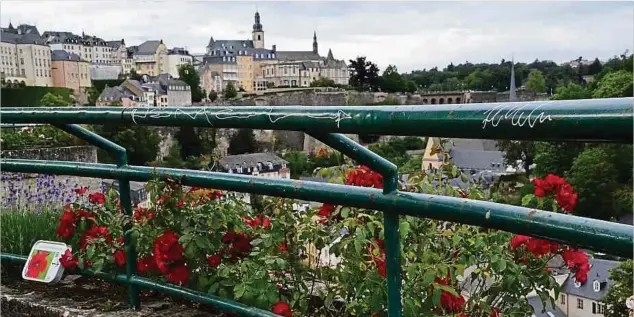  ?? Fotos: Frank Weyrich ?? Der Rosengarte­n auf den sogenannte­n „Rondellen“lädt zum Ausruhen ein.