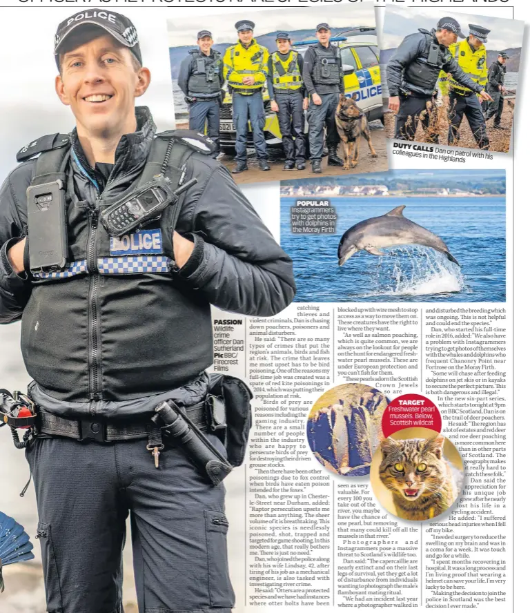  ?? ?? PAssioN Wildlife crime officer Dan Sutherland Pic BBC/ Firecrest Films
PoPULAR Instagramm­ers try to get photos with dolphins in the Moray Firth
DUTY CALLs
Dan on patrol colleagues with in the his Highlands
TARGET Freshwater pearl mussels. Below, Scottish wildcat