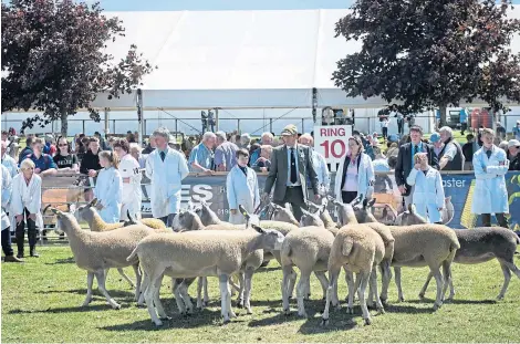  ?? Picture: Wullie Marr Photograph­y. ?? Day two of the Royal Highland Show earlier this year.