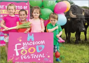 ??  ?? Lucy O’ Connell, Freya Riordan, Anna Mehigan and Charlie O’Connell from Macroom helped launch the 2017 Macroom Food Festival at the Buffalo Cheese Farm, Kilnamarty­ra.