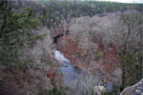  ?? The Sentinel-record/corbet Deary ?? ■ The trail meandering through Cove Creek Natural Area offers an incredible overlook of the creek winding through the forest.