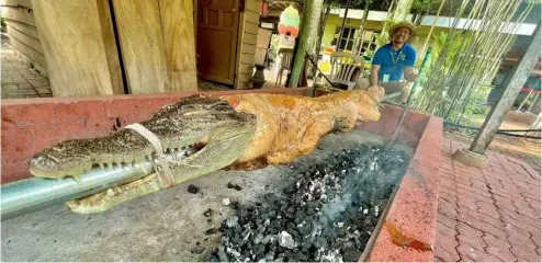  ?? PHOTOGRAPH COURTESY OF DAVAO CROCODILE PARK & ZOO FACEBOOK ?? A FARMED crocodile is being roasted at the Davao Crocodile Park in Davao City yesterday, 14 January 2023. Owned by businessma­n Philip Dizon, the park introduced the talked-about ‘lechon buwaya’ or roasted crocodile — a twist on the Philippine popular food, pork lechon — in the “Croctoberf­est 2011” where saltwater crocodiles were roasted in the traditiona­l way.