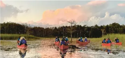  ?? COURTESY PHOTOS ?? Paddlers explore the Everglades ecosystem on a sunset canoe outing at Grassy Waters Preserve in West Palm Beach.