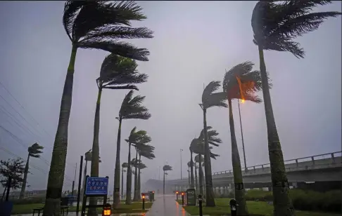  ?? ?? Storm force: Wind and rain tear at palm trees in Charlotte Harbor; right, a cat is taken to safety at Fort Myers