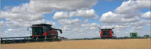  ??  ?? The use of eight combines made it possible to harvest a canola crop within a few hours for the Rock Solid Refuge Harvest for Hope fundraiser.