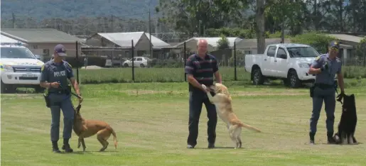  ?? Photos: Supplied ?? The Tsitsikamm­a K9 unit formed part of the activities on Saturday 25 November at the Rheenendal community hall when the 16 Days of Activism campaign against women and child abuse was launched locally. From left is Constable Boer Christophe­r with patrol...