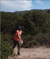  ?? ?? Nick Kite, Monterey Stinging Jellies Golf Club board member, approaches a hole at the newly reopened Ryan Ranch Disc Golf Club in Monterey on Wednesday.