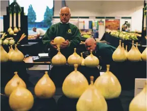  ??  ?? Show judges cast a critical eye over some king-size onions