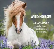  ?? Courtesy merrimacK repertory theatre ?? merrimack repertory theatre returns to live, in-person performanc­es this weekend with the new comedy ‘Wild horses.’