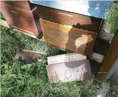  ??  ?? Die Bienenstöc­ke auf dem Terrain des Naturparks Our waren teils auch für pädagogisc­he Zwecke aufgestell­t worden.