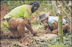  ?? CONTRIBUTE­D BY FOX ?? Powder Springs delivery truck driver Mike Forbs (left) works on a challenge with his survivalis­t partner, Jessie Krebs, in the new Fox reality show “Kicking and Screaming,” set in a Fiji jungle.