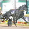  ?? Photo / Dean Gillette ?? Lazarus faces one of the toughest challenges at Yonkers tomorrow morning.