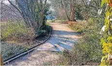  ?? FOTO: UWE MISERIUS ?? Die Bäume im Bürgerpark sollen weichen, um Platz für eine neue durchgängi­ge Asphaltdec­ke zu schaffen.