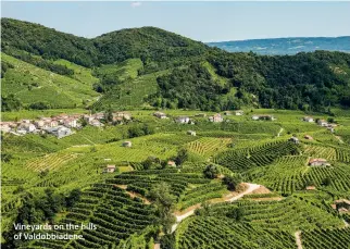  ?? ?? Vineyards on the hills of Valdobbiad­ene,