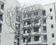  ?? VIPIN KUMAR/HT PHOTO ?? The few trees seen in East Kidwai Nagar were withered with mounds of constructi­on waste at their foot.