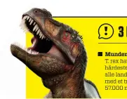  ?? T. rex havde det hårdeste bid af alle landdyr – med et tryk på 57.000 newton. ??