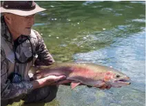  ??  ?? Time for trout The upper reaches of the Rangitikei River are catch- andrelease territory. Throwing back a 3.2kg rainbow trout (or as fisher folk say, “it’s a seven pounder”), fishing guide John Gordon explains: “I’ve caught that one before. For many people that would be the catch of a lifetime; there aren’t too many places you could walk a few steps and catch a trout. But that epitomizes this river.”