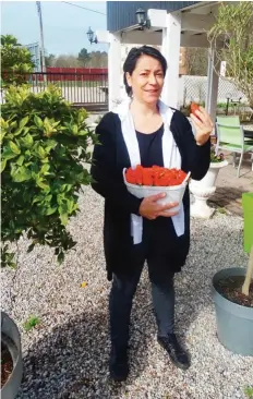  ??  ?? Françoise Ollivier ne manque pas de goûter aux fraises.