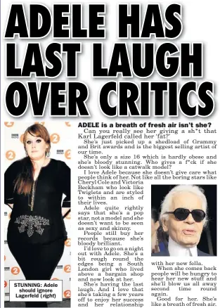  ??  ?? STUNNING: Adele
should ignore Lagerfeld (