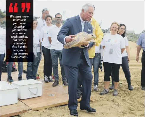  ?? PICTURE: PA WIRE. ?? WAKE-UP CALL: The Prince of Wales releases a rehabilita­ted turtle into the sea during a visit to a marine conservati­on programme in Malta.