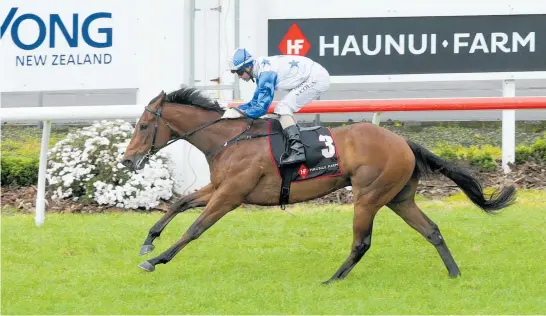  ?? Photo / Trish Dunell ?? Bostonian winning at Pukekohe in November.