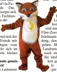  ?? Fotos: Fotolia, Landratsam­t ?? Zweimal Zorro: Die zwei haben mehr gemein sam als nur den Namen. Ehrlich!