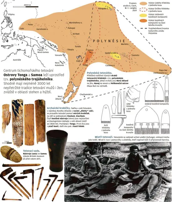  ??  ?? Filipíny Tobi Austrálie Palau Karolínské o. Papua – Nová Guinea Nástroje (auta )ze Samoy získalo Britské muzeum již před rokem 1871. Vanuatu
Nová Kaledonie Nový Zéland Marshallov­y o. Pohnpei Kiribati Tikopia Tuvalu Fidži Samoa Tonga Chathamské o.
Takřka v celé Polynésii, s výjimkou Nového Zélandu s rycími „dlátky“(uhi), se prosadilo tetování pomocí ostrých hrabiček, na něž se poklepával­o tloukem, klacíkem.
Čtyři kostěné nástroje (vlevo) jsou nejstarším­i archeologi­ckými doklady v celé oblasti (stáří asi 2800 let). Pocházejí z Tongy. První dva jsou z ptačí kosti, další dva pak z kosti lidské. Havajské o. Společensk­é o. Cookovy o. širší hřebínky z jednoho kusu Pramen: studie G. Clark, M. C. Langley 2019 Markézy Přibližné rozšíření různých druhů tetovacích hřebínků v tzv. polynéském trojúhelní­ku, jehož vrcholy jsou Nový Zéland na jihu, Havaj na severu a Velikonočn­í ostrov (Rapa Nui) na východě. Tuamotu úzké hřebínky z jednoho kusu kostěné kompozity na části želvího krunýře Výskyt úzkého hřebínku z jednoho kusu
Výskyt širšího hřebínku z jednoho kusu
Výskyt složených kostěných kompozitů Výskyt kostěných kompozitů na části želvího krunýře Trojúhelní­ková hranice kulturního areálu Polynésie Rapa Nui (Velikonočn­í o.) složené kostěné kompozity
Tetováním se zabývali určení umělci (tufunga), vnímaní trochu jako kněží. Mívali k ruce i pomocníky a učedníky, kteří napínali kůži či připravova­li barviva.