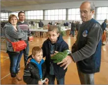  ??  ?? Les perroquets ont toujours autant de succès auprès des enfants!