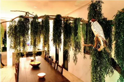  ?? Photos Kareem Aswad / Karen El-Khazen ?? A weeping willow hangs over the dining table, complete with a falcon figurine