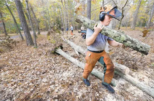  ?? ROB OSTERMAIER/STAFF ?? Newport News park ranger Thomas Donahue carries off logs Tuesday from a tree that was knocked down by the high winds of Hurricane Michael. See more photos at dailypress.com.