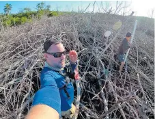  ?? / IMAGEN CORTESÍA DEL CENTRO DE CONSERVACI­ÓN Y RESTAURACI­ÓN ECOLÓGICA VIDA MARINA DE LA UNIVERSIDA­D DE PUERTO RICO, EN AGUADILLA ?? En acción. Robert J. Mayer y José Vera caminan entre mangles rojos muertos mientras miden la salinidad del agua.