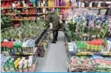  ?? —AFP ?? KUWAIT: A woman looking at flowers is pictured inside a household appliance store in Bucharest, Romania, yesterday. Romania has record economic growth, the highest in the EU, but this boom has been driven by consumptio­n, at the expense of investment,...