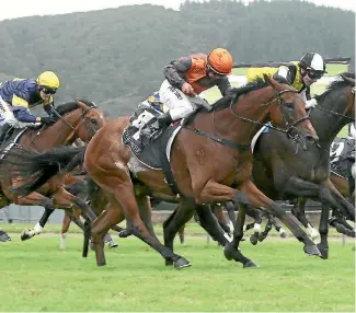  ?? TRISH DUNNELL ?? Jacksstar has firmed in the Auckland Cup market on the back of a good draw and a rain affected track.