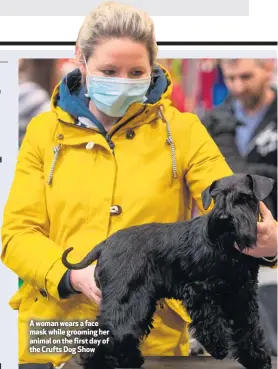  ??  ?? A woman wears a face mask while grooming her animal on the first day of the Crufts Dog Show