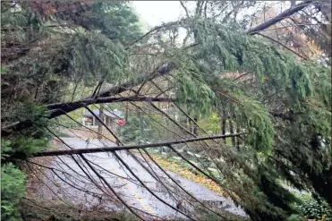  ?? John Bailey ?? Bass Avenue was one of many roads blocked early Thursday after the remnants of Hurricane Zeta passed through Floyd County.