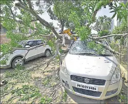  ?? GURPREET SINGH/HT ?? Two cars were damaged when a tree fell on them during a squall in Tagore Nagar area of Ludhiana on Monday.