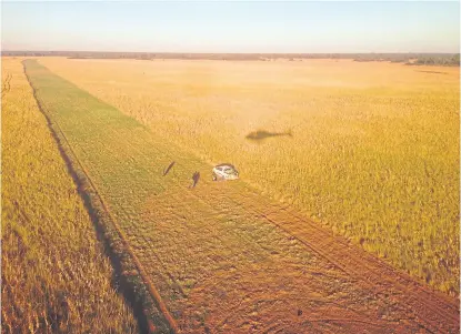  ?? Min. seguridad ?? El campo de Santiago del Estero donde hace seis días “bombardear­on” 300 kilos de cocaína