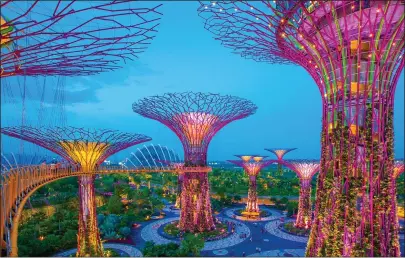  ??  ?? FLOWER POWER: Gardens By The Bay in central Singapore opened seven years ago
THE COLOSSEUM, ROME