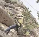  ??  ?? A student climbs the rocks using ropes, harness and mountain climbing shoes.