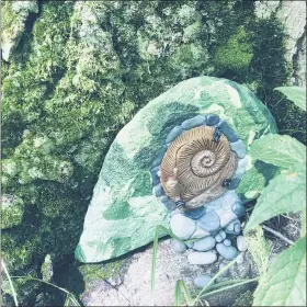  ?? JANET PODOLAK FOR THE NEWS-HERALD ?? A snail guards this tiny Fairy Door nestled into the moss on a tree root on Fordham’s Island in Corning Lake where artist Erin Canales installed this and several other Fairy Doors.