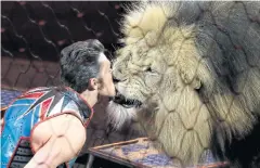  ?? EPA ?? Animal trainer Alexander Lacey performs with Maasai the lion at the Ringling Bros and Barnum & Bailey circus at the Nassau Coliseum in Uniondale, New York, on Sunday.