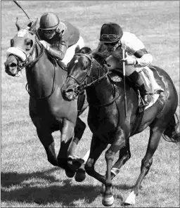  ?? COADY PHOTOGRAPH­Y ?? Royal Patronage (right) will get Hall of Famer John Velazquez for the first time in Saturday’s Grade 3 Arlington Stakes.