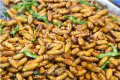  ??  ?? Fried pupa – mid-metamorpho­sis bugs – could be a wheat and dairy free alternativ­e to cereals (Getty)