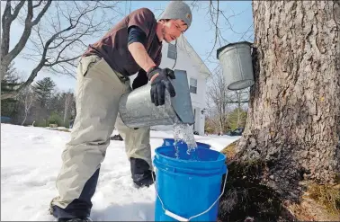  ?? ELISE AMENDOLA/AP PHOTO ?? Parker’s Maple Barn employee Kyle Gay pours maple tree sap into a larger bucket Tuesday in Brookline, N.H. U.S. Sen. Maggie Hassan, D-N.H., led a discussion with maple syrup producers in New Hampshire about how climate change is affecting their industry.
