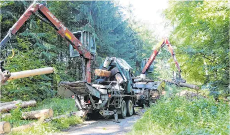  ?? FOTO: ELKE OBERLÄNDER ?? Ausgeklüge­lte Technik: Fertig geschält kommen die Stämme aus der Entrindung­smaschine. Der eine Kran sorgt für Nachschub, der andere stapelt die rindenlose­n Baumstämme.