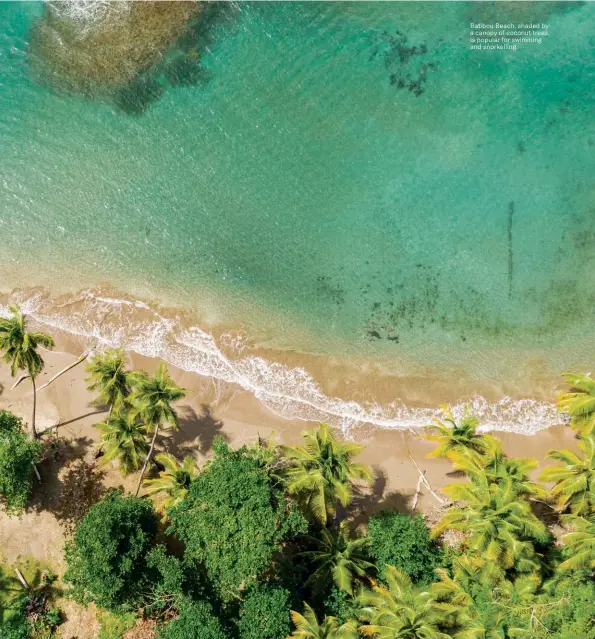  ??  ?? Batibou Beach, shaded by a canopy of coconut trees, is popular for swimming and snorkellin­g.